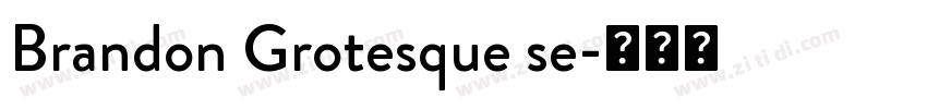 Brandon Grotesque se字体转换